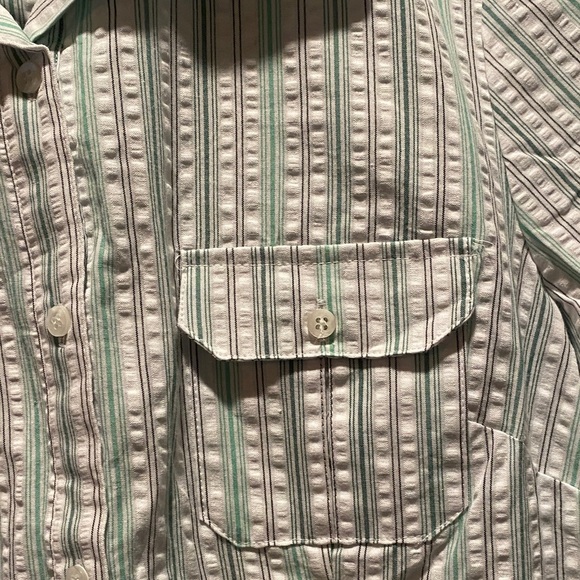 Croft & Barrow Mint Green Striped Button Down Shirt NWT Size L 100% Cotton - Picture 4 of 5